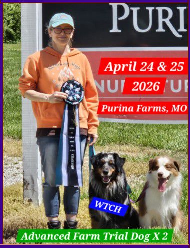 Herding Trial